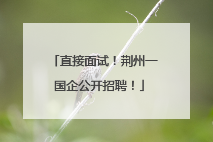 直接面试！荆州一国企公开招聘！