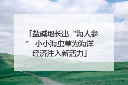 盐碱地长出“海人参” 小小海虫草为海洋经济注入新活力
