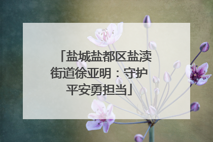 盐城盐都区盐渎街道徐亚明：守护平安勇担当