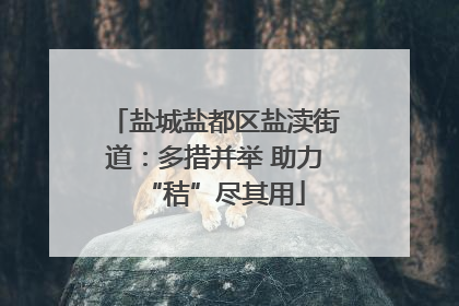 盐城盐都区盐渎街道：多措并举 助力“秸”尽其用