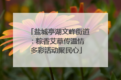 盐城亭湖文峰街道：粽香艾草传温情 多彩活动聚民心