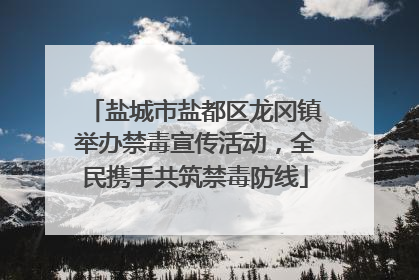 盐城市盐都区龙冈镇举办禁毒宣传活动，全民携手共筑禁毒防线