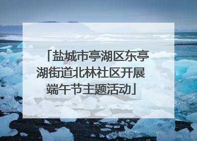 盐城市亭湖区东亭湖街道北林社区开展端午节主题活动