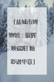 盐城市博物馆：银辉映端阳 釉彩谱华章