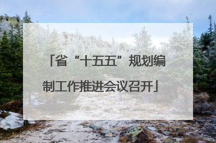 省“十五五”规划编制工作推进会议召开