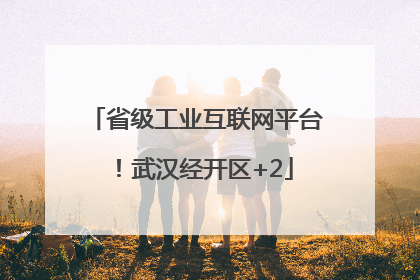 省级工业互联网平台！武汉经开区+2