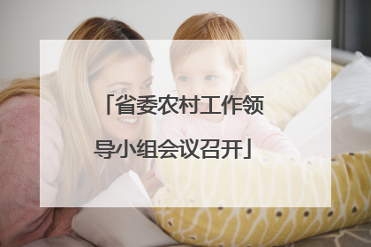 省委农村工作领导小组会议召开