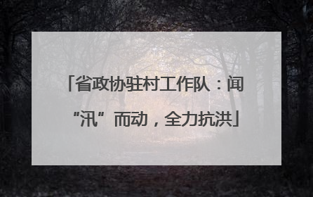 省政协驻村工作队：闻“汛”而动，全力抗洪