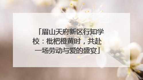 眉山天府新区行知学校：枇杷橙黄时，共赴一场劳动与爱的盛宴