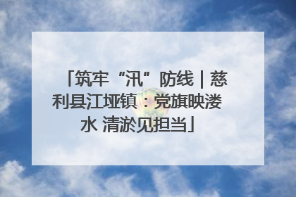 筑牢“汛”防线｜慈利县江垭镇：党旗映溇水 清淤见担当