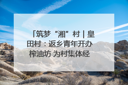 筑梦“湘”村｜皇田村：返乡青年开办榨油坊 为村集体经济“加油”