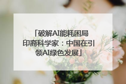 破解AI能耗困局 印裔科学家:中国在引领AI绿色发展