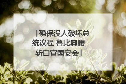 确保没人破坏总统议程 鲁比奥腰斩白宫国安会