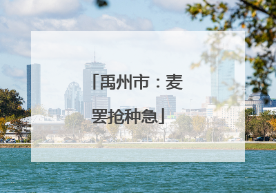 禹州市：麦罢抢种急