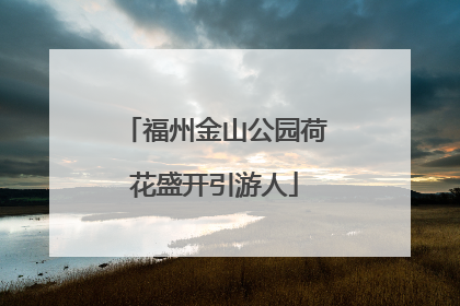 福州金山公园荷花盛开引游人