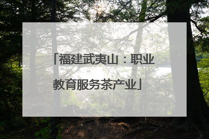 福建武夷山：职业教育服务茶产业