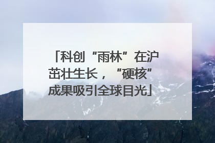科创“雨林”在沪茁壮生长，“硬核”成果吸引全球目光