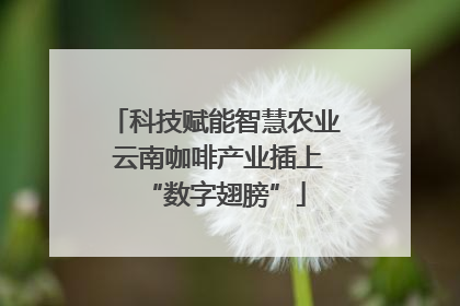 科技赋能智慧农业 云南咖啡产业插上“数字翅膀”