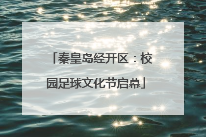 秦皇岛经开区：校园足球文化节启幕
