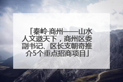 秦岭·商州——山水人文邀天下，商州区委副书记、区长支朝奇推介5个重点招商项目
