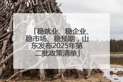 稳就业、稳企业、稳市场、稳预期，山东发布2025年第二批政策清单