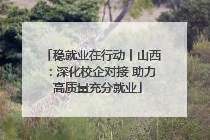 稳就业在行动丨山西：深化校企对接 助力高质量充分就业