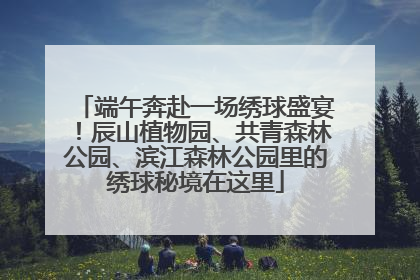 端午奔赴一场绣球盛宴！辰山植物园、共青森林公园、滨江森林公园里的绣球秘境在这里