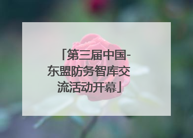 第三届中国-东盟防务智库交流活动开幕