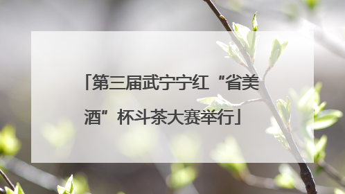 第三届武宁宁红“省美酒”杯斗茶大赛举行