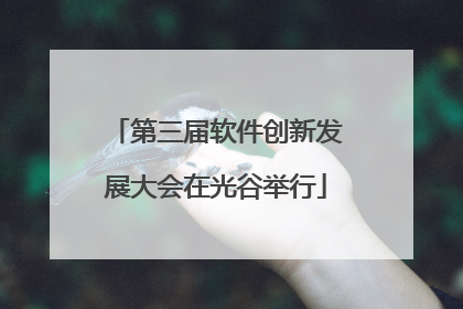第三届软件创新发展大会在光谷举行