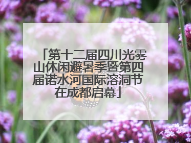 第十二届四川光雾山休闲避暑季暨第四届诺水河国际溶洞节在成都启幕