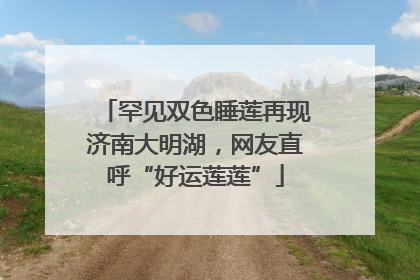罕见双色睡莲再现济南大明湖，网友直呼“好运莲莲”