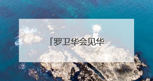 罗卫华会见华为公司客人