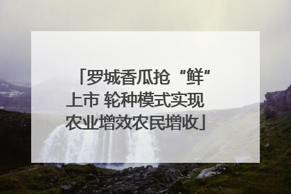 罗城香瓜抢“鲜”上市 轮种模式实现农业增效农民增收