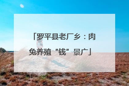 罗平县老厂乡：肉兔养殖“钱”景广