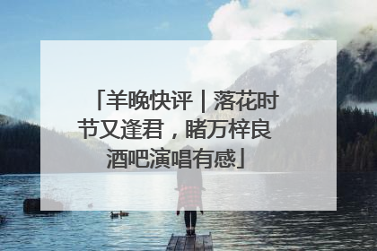 羊晚快评｜落花时节又逢君，睹万梓良酒吧演唱有感