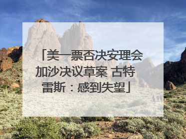 美一票否决安理会加沙决议草案 古特雷斯：感到失望