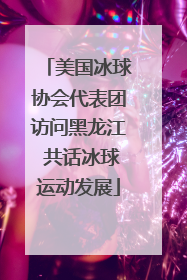 美国冰球协会代表团访问黑龙江 共话冰球运动发展