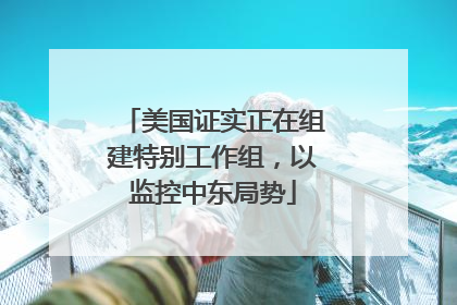 美国证实正在组建特别工作组，以监控中东局势