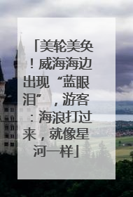 美轮美奂！威海海边出现“蓝眼泪”，游客：海浪打过来，就像星河一样