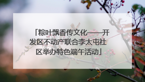 粽叶飘香传文化——开发区不动产联合李太屯社区举办特色端午活动