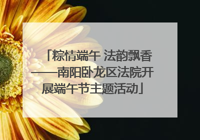 粽情端午 法韵飘香——南阳卧龙区法院开展端午节主题活动