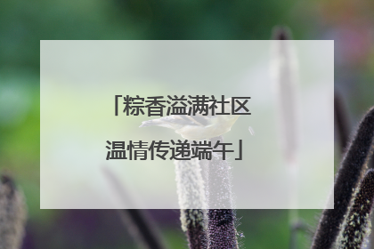 粽香溢满社区 温情传递端午