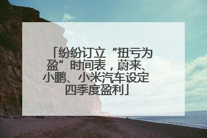 纷纷订立“扭亏为盈”时间表，蔚来、小鹏、小米汽车设定四季度盈利