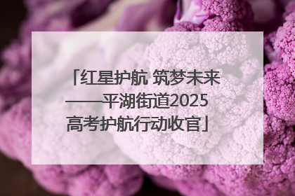 红星护航 筑梦未来——平湖街道2025高考护航行动收官