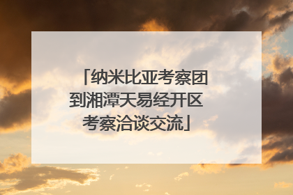 纳米比亚考察团到湘潭天易经开区考察洽谈交流