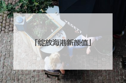 绽放海港新颜值