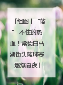 组图丨“篮” 不住的热血！常德白马湖街头篮球赛燃爆夏夜