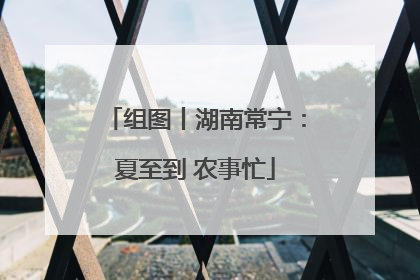 组图丨湖南常宁：夏至到 农事忙