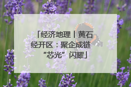 经济地理丨黄石经开区：聚企成链“芯光”闪耀